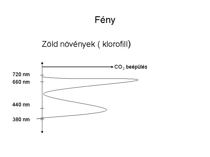 Fény Zöld növények ( klorofill) CO 2 beépülés 720 nm 660 nm 440 nm