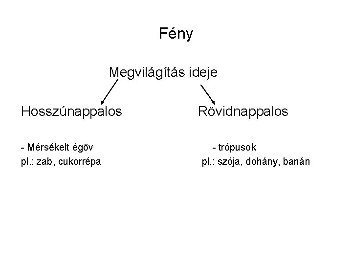 Fény Megvilágítás ideje Hosszúnappalos - Mérsékelt égöv pl. : zab, cukorrépa Rövidnappalos - trópusok