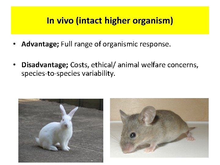 In vivo (intact higher organism) • Advantage; Full range of organismic response. • Disadvantage;