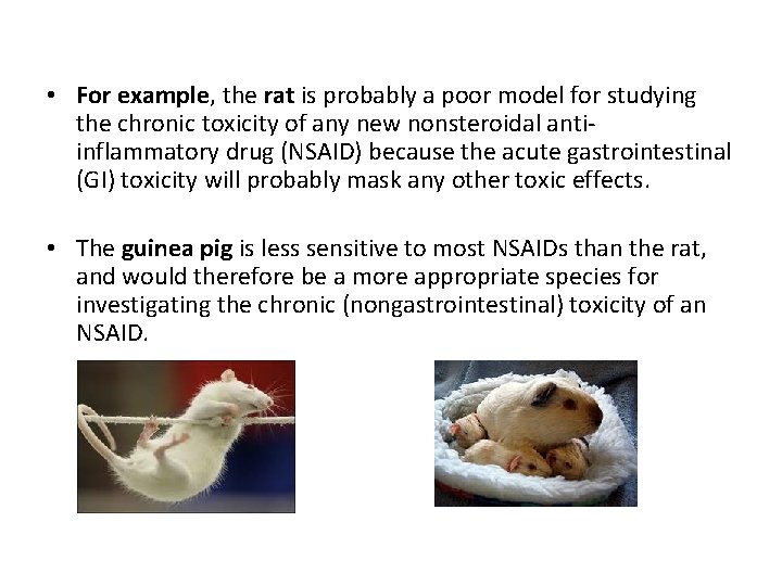  • For example, the rat is probably a poor model for studying the