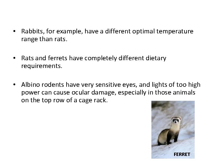 • Rabbits, for example, have a different optimal temperature range than rats. •