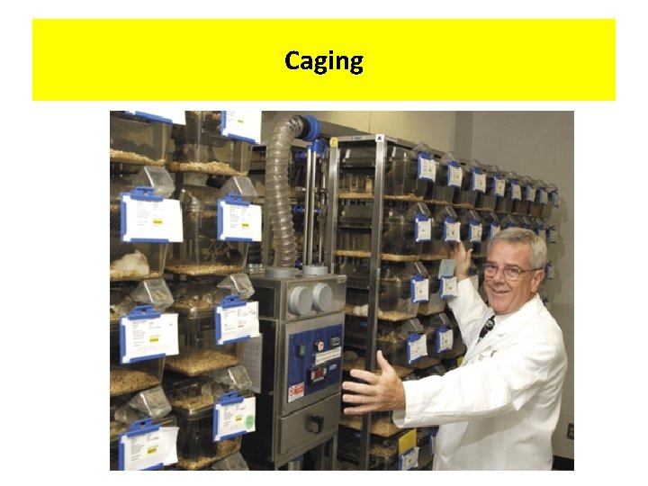 Caging 