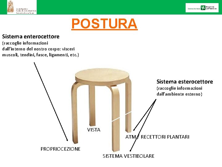 POSTURA Sistema enterocettore (raccoglie informazioni dall’interno del nostro corpo: visceri muscoli, tendini, fasce, ligamenti,