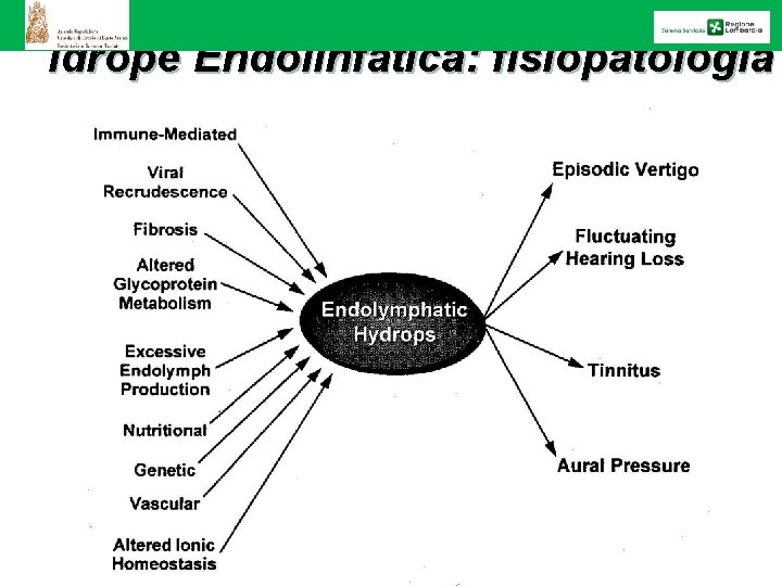 Idrope Endolinfatica: fisiopatologia 