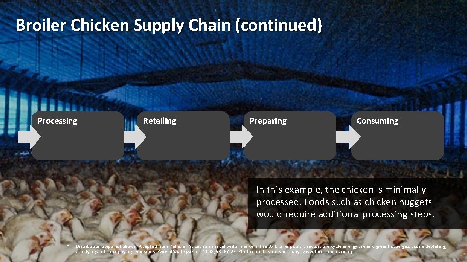 Broiler Chicken Supply Chain (continued) Processing Retailing Preparing Consuming In this example, the chicken