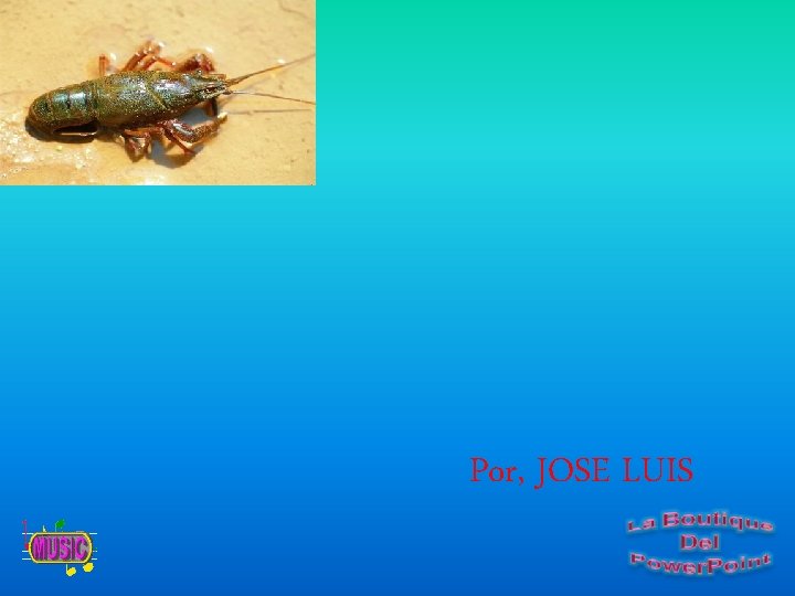 Por, JOSE LUIS 