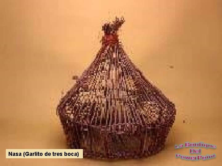 Nasa (Garlito de tres boca) 