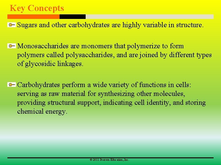 Key Concepts Sugars and other carbohydrates are highly variable in structure. Monosaccharides are monomers