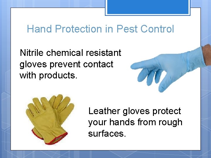 Hand Protection in Pest Control Nitrile chemical resistant gloves prevent contact with products. Leather