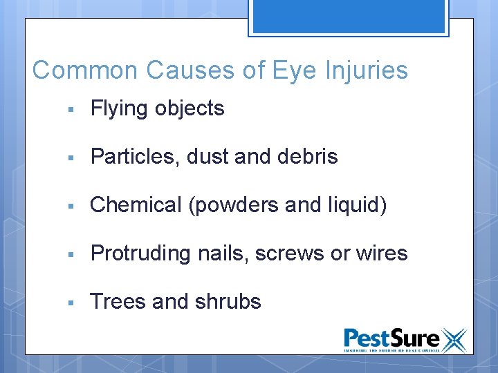 Common Causes of Eye Injuries § Flying objects § Particles, dust and debris §