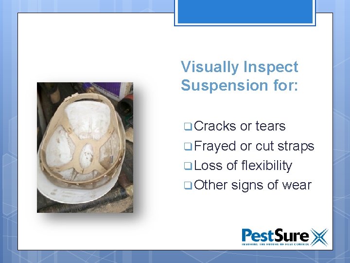 Inspection Visually Inspect Suspension for: q Cracks or tears q Frayed or cut straps