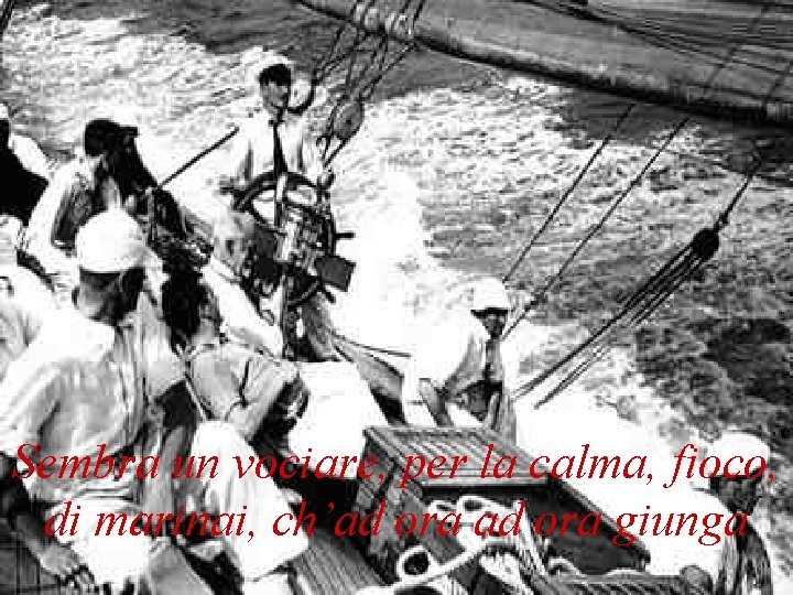 Sembra un vociare, per la calma, fioco, di marinai, ch’ad ora giunga 