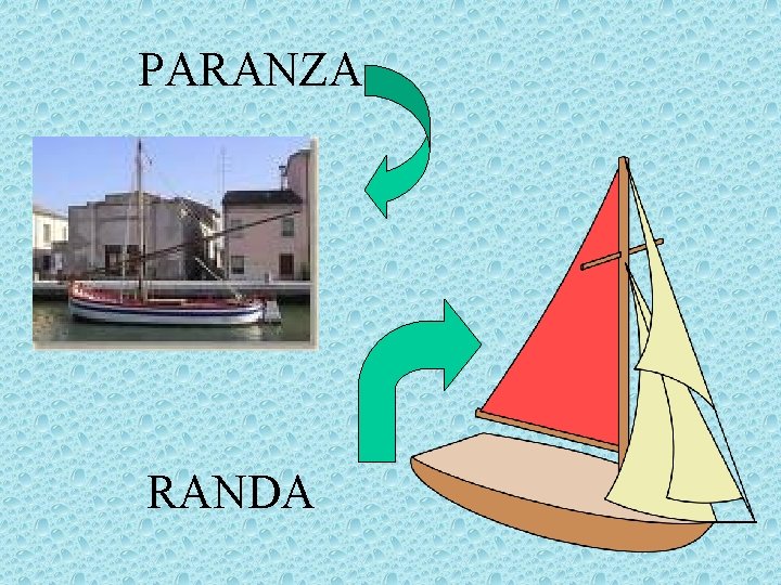 PARANZA RANDA 
