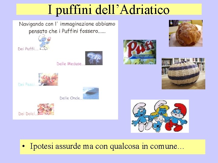 I puffini dell’Adriatico • Ipotesi assurde ma con qualcosa in comune… 