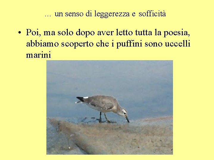 … un senso di leggerezza e sofficità • Poi, ma solo dopo aver letto