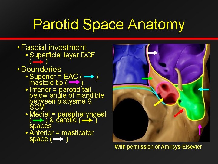 Parotid Space Anatomy • Fascial investment • Superficial layer DCF ( ) • Bounderies