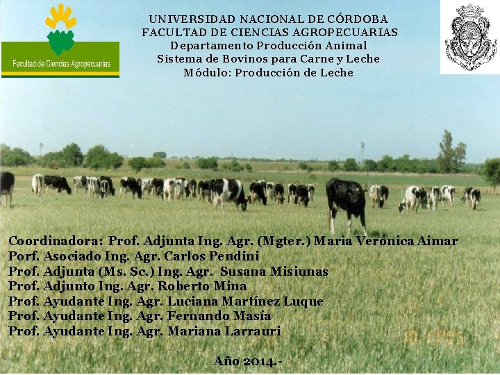 UNIVERSIDAD NACIONAL DE CÓRDOBA FACULTAD DE CIENCIAS AGROPECUARIAS Departamento Producción Animal Sistema de Bovinos