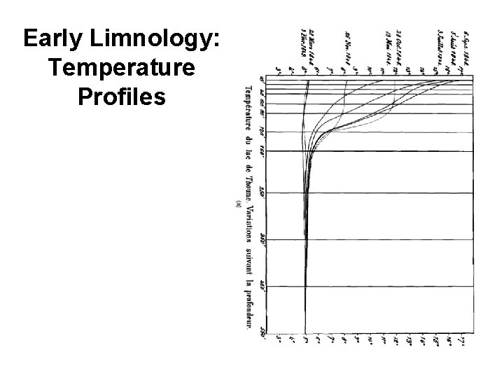 Early Limnology: Temperature Profiles 