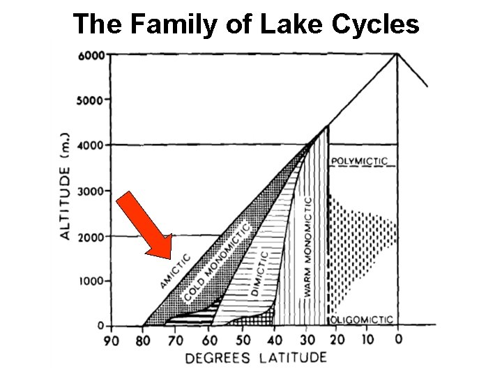 The Family of Lake Cycles 