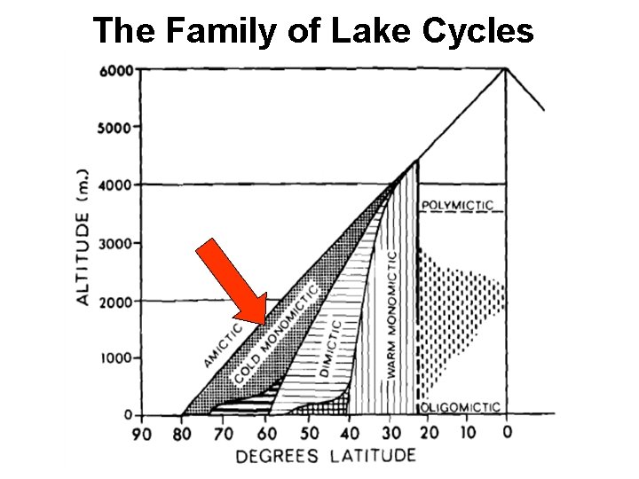 The Family of Lake Cycles 