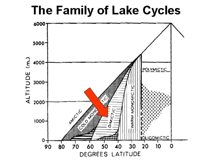 The Family of Lake Cycles 