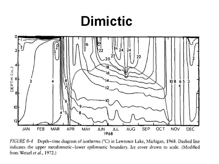 Dimictic 