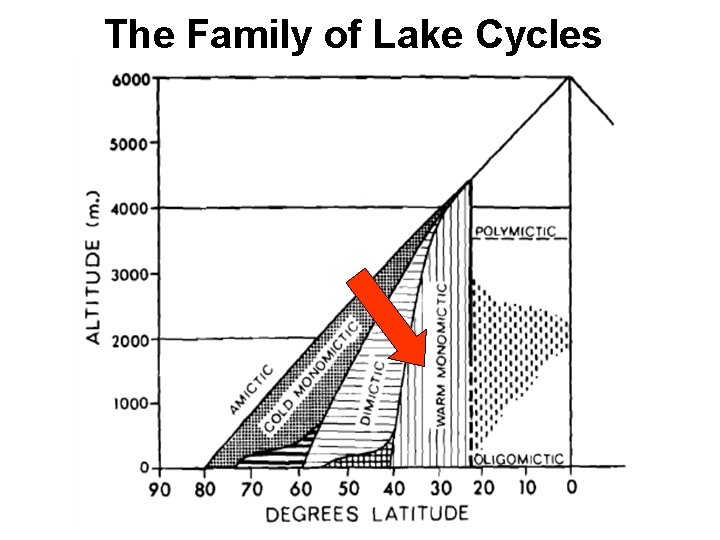 The Family of Lake Cycles 