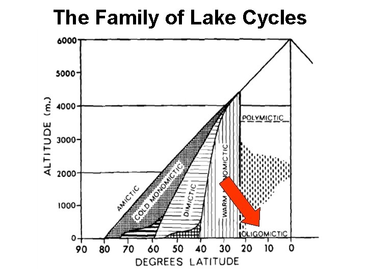 The Family of Lake Cycles 