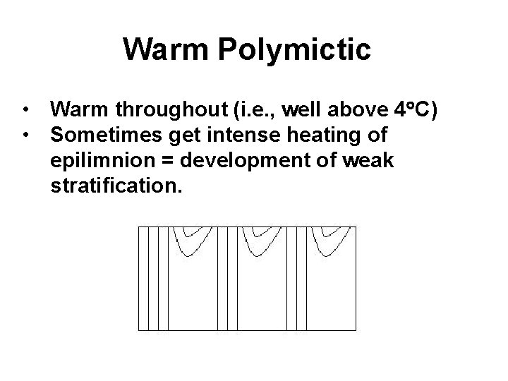 Warm Polymictic • Warm throughout (i. e. , well above 4 C) • Sometimes