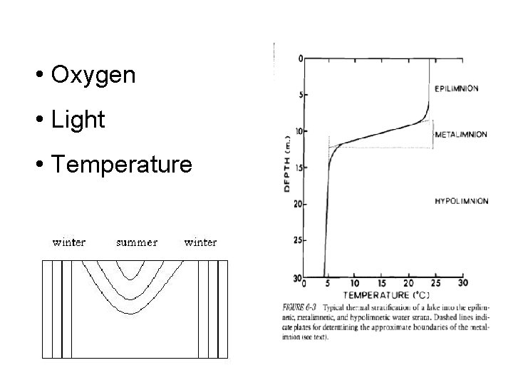  • Oxygen • Light • Temperature 