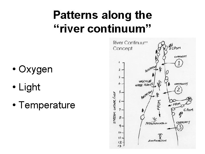Patterns along the “river continuum” • Oxygen • Light • Temperature 