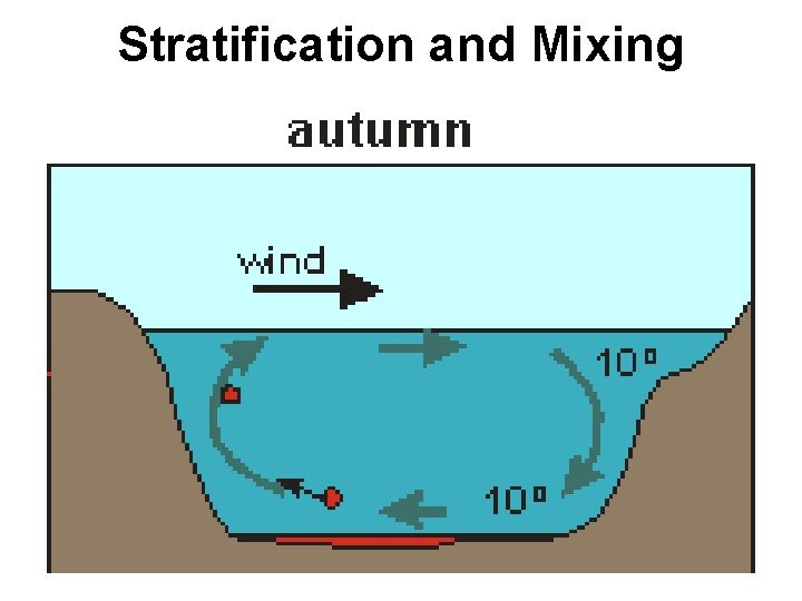 Stratification and Mixing 