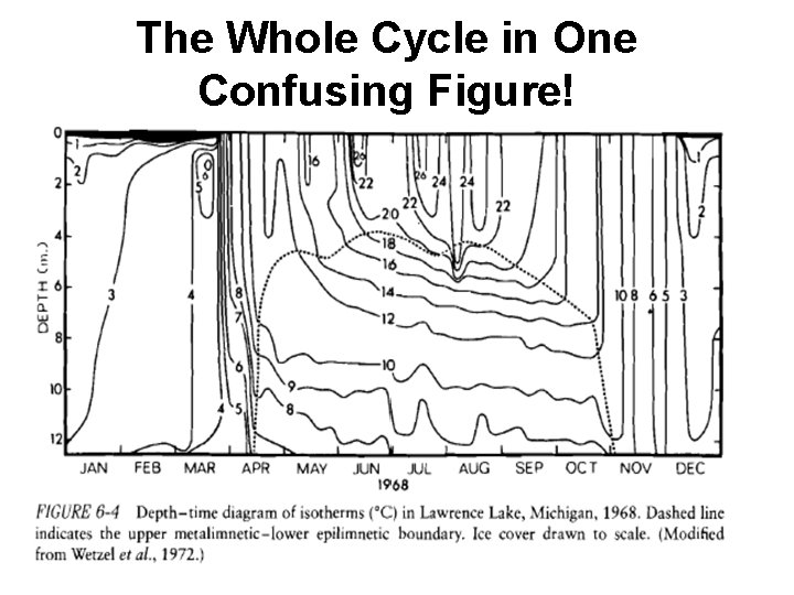 The Whole Cycle in One Confusing Figure! 