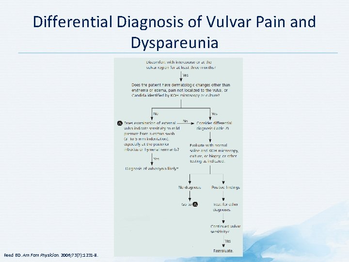 Differential Diagnosis of Vulvar Pain and Dyspareunia Reed BD. Am Fam Physician. 2006; 73(7):