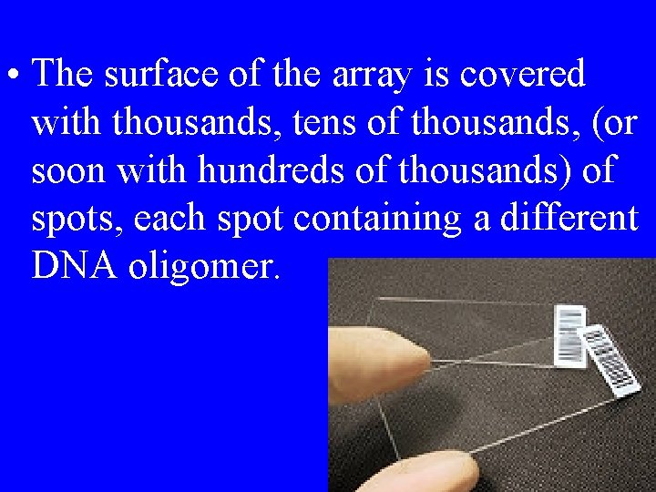  • The surface of the array is covered with thousands, tens of thousands,