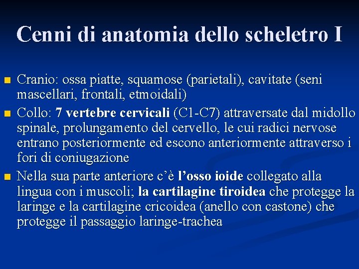 Cenni di anatomia dello scheletro I n n n Cranio: ossa piatte, squamose (parietali),