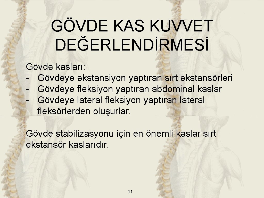 GÖVDE KAS KUVVET DEĞERLENDİRMESİ Gövde kasları: - Gövdeye ekstansiyon yaptıran sırt ekstansörleri - Gövdeye