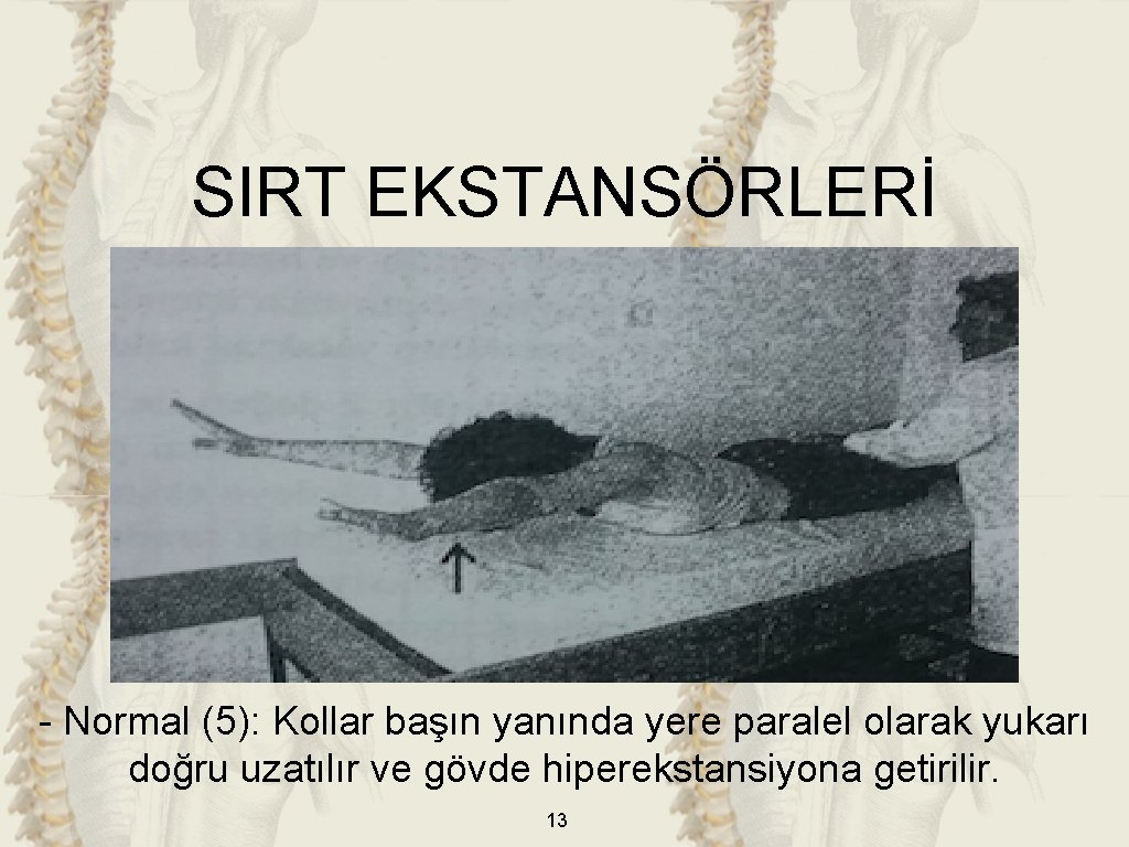 SIRT EKSTANSÖRLERİ - Normal (5): Kollar başın yanında yere paralel olarak yukarı doğru uzatılır