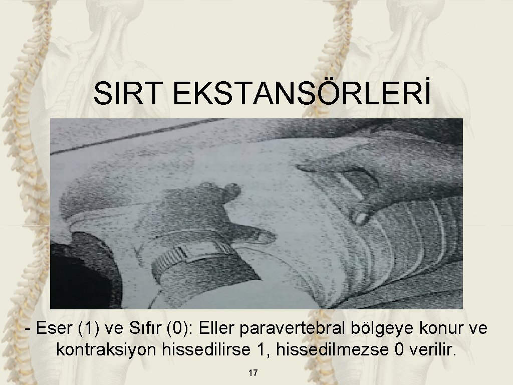 SIRT EKSTANSÖRLERİ - Eser (1) ve Sıfır (0): Eller paravertebral bölgeye konur ve kontraksiyon