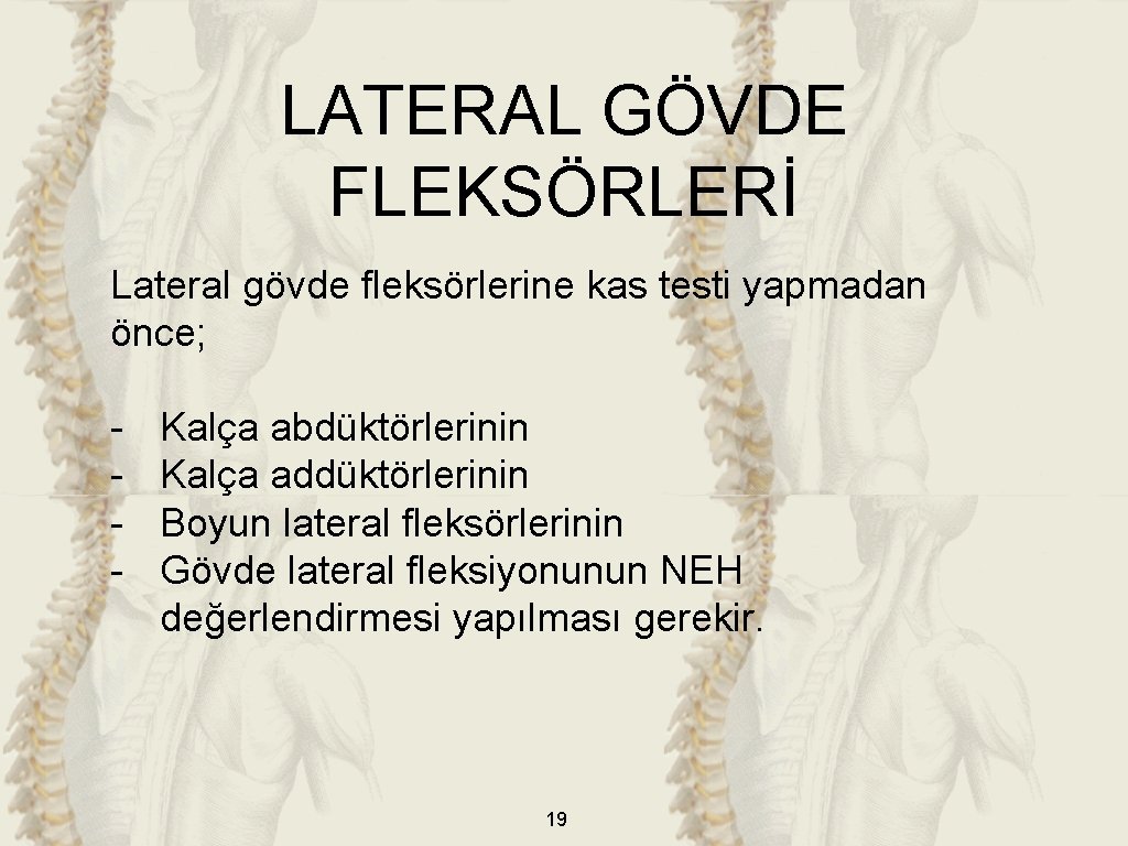 LATERAL GÖVDE FLEKSÖRLERİ Lateral gövde fleksörlerine kas testi yapmadan önce; - Kalça abdüktörlerinin Kalça