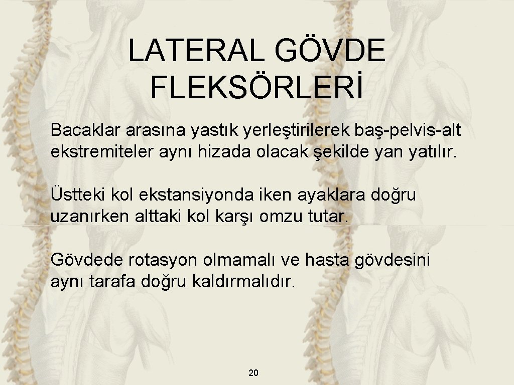 LATERAL GÖVDE FLEKSÖRLERİ Bacaklar arasına yastık yerleştirilerek baş-pelvis-alt ekstremiteler aynı hizada olacak şekilde yan