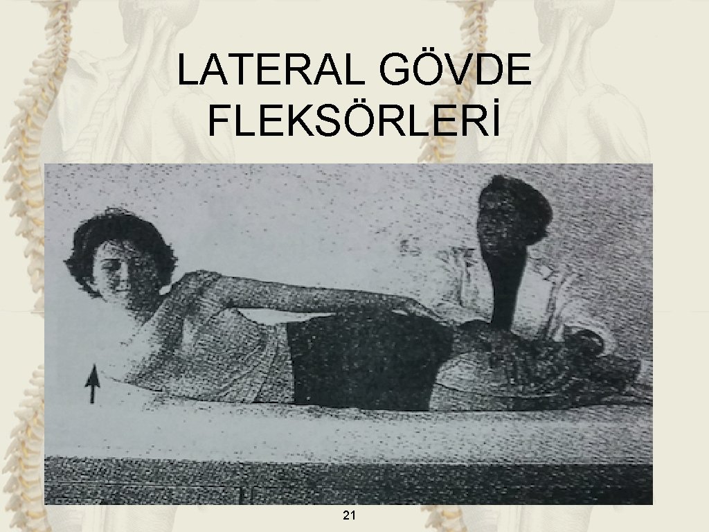 LATERAL GÖVDE FLEKSÖRLERİ 21 