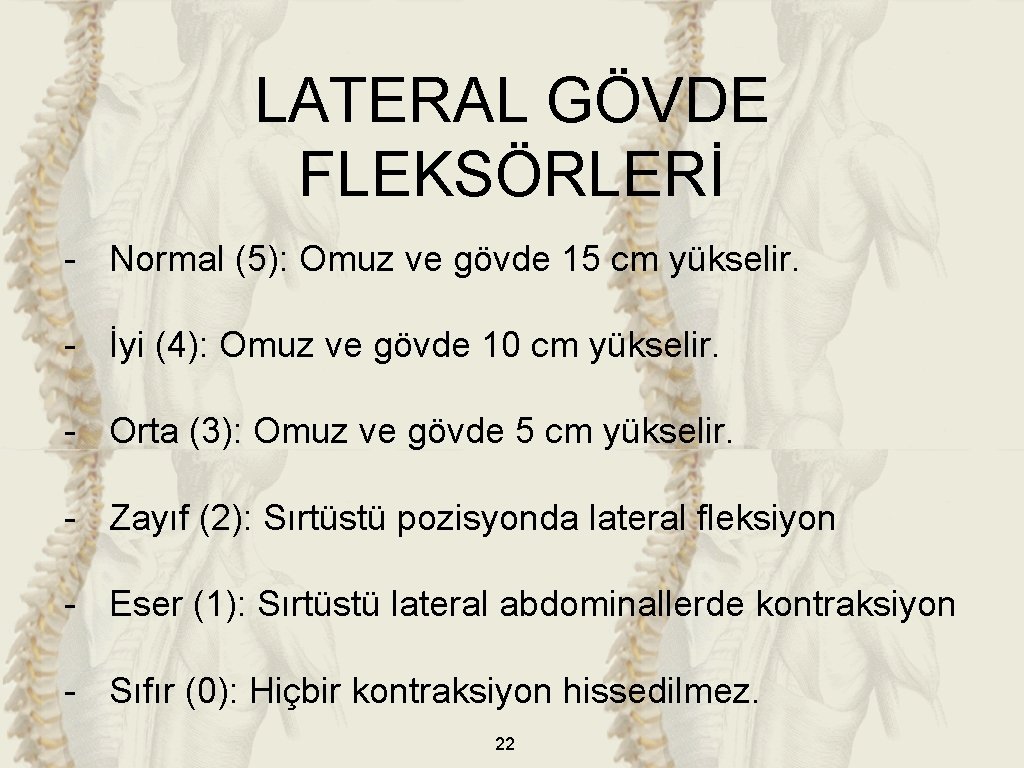 LATERAL GÖVDE FLEKSÖRLERİ - Normal (5): Omuz ve gövde 15 cm yükselir. - İyi