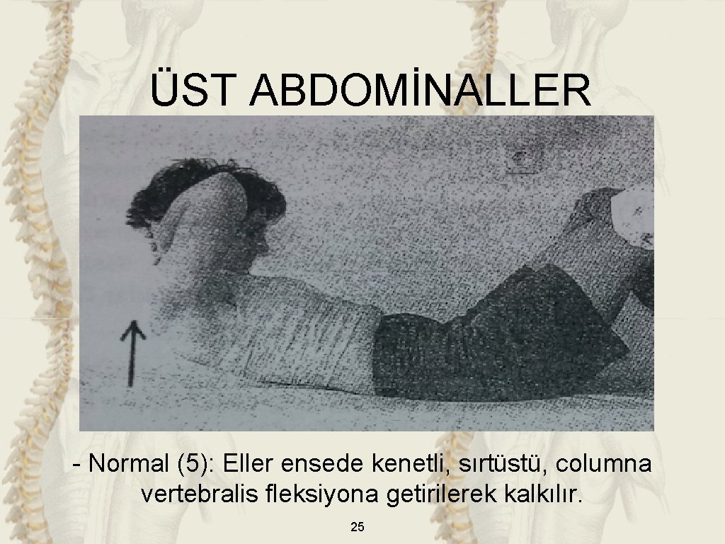 ÜST ABDOMİNALLER - Normal (5): Eller ensede kenetli, sırtüstü, columna vertebralis fleksiyona getirilerek kalkılır.