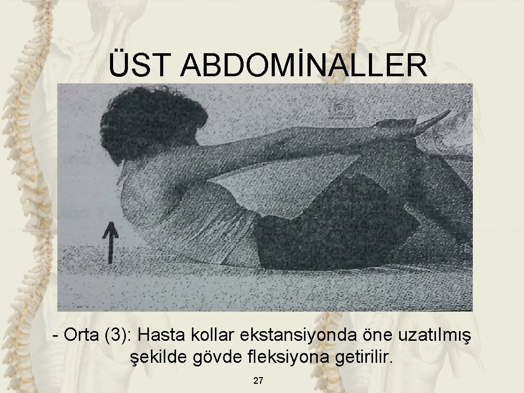 ÜST ABDOMİNALLER - Orta (3): Hasta kollar ekstansiyonda öne uzatılmış şekilde gövde fleksiyona getirilir.