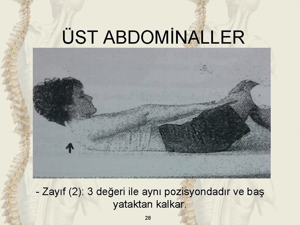 ÜST ABDOMİNALLER - Zayıf (2): 3 değeri ile aynı pozisyondadır ve baş yataktan kalkar.