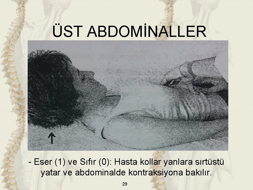 ÜST ABDOMİNALLER - Eser (1) ve Sıfır (0): Hasta kollar yanlara sırtüstü yatar ve