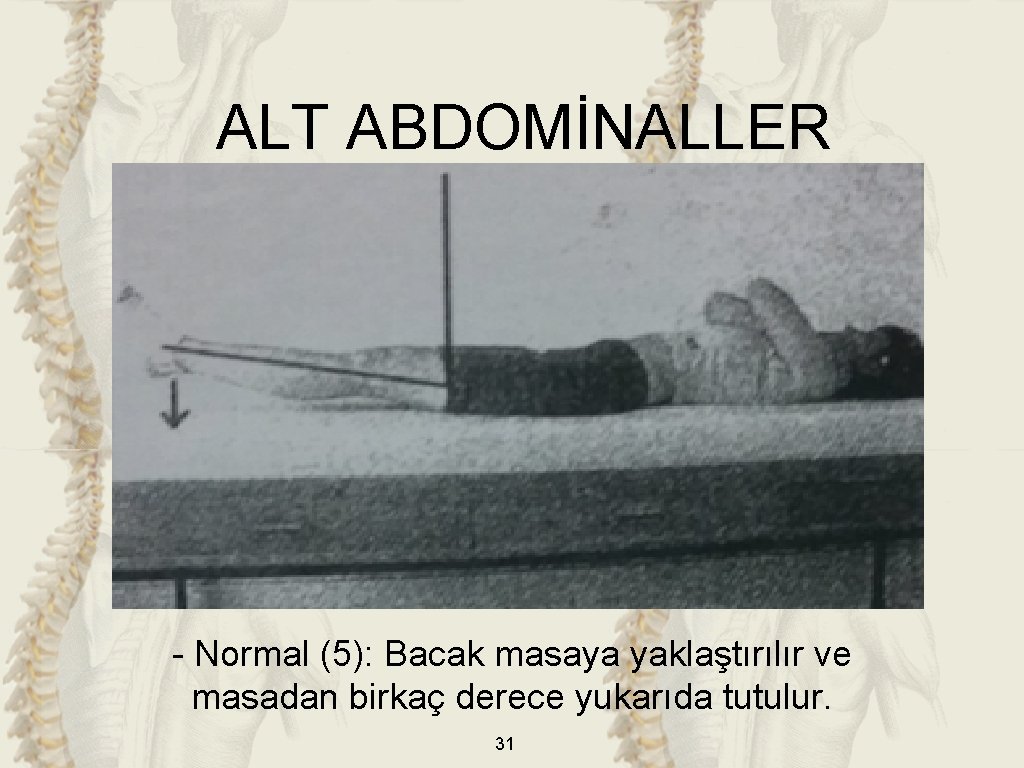 ALT ABDOMİNALLER - Normal (5): Bacak masaya yaklaştırılır ve masadan birkaç derece yukarıda tutulur.