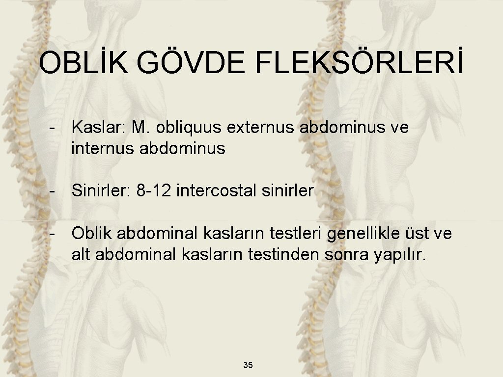 OBLİK GÖVDE FLEKSÖRLERİ - Kaslar: M. obliquus externus abdominus ve internus abdominus - Sinirler:
