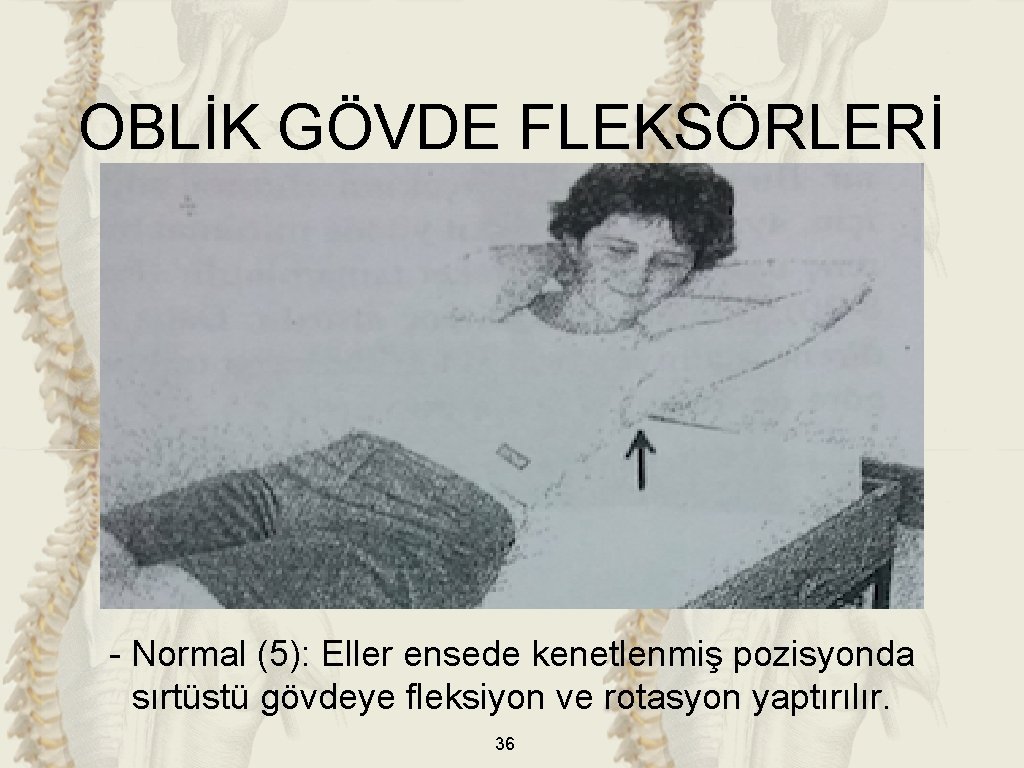 OBLİK GÖVDE FLEKSÖRLERİ - Normal (5): Eller ensede kenetlenmiş pozisyonda sırtüstü gövdeye fleksiyon ve
